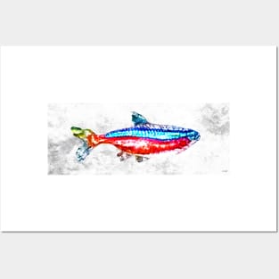 Cardinal Tetra Aquarium Fish Posters and Art